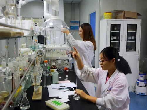 服務創(chuàng)新企業(yè) 助力科技騰飛 精武鎮(zhèn)信息技術咨詢服務企業(yè)成功獲批天津市企業(yè)重點實驗室